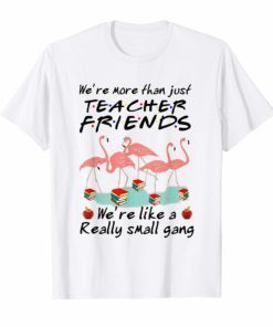 Flamingo We're More Than Just Teacher Friends Shirt