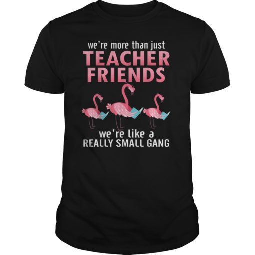 Funny We're More Than Just Teacher Friends-Flamingo T shirt