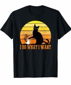 I do what I want Tshirt Funny Perfect Gift for Cat Lvers