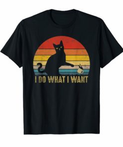 I do what I want cat t-shirt Vintage Cat Tee Gift