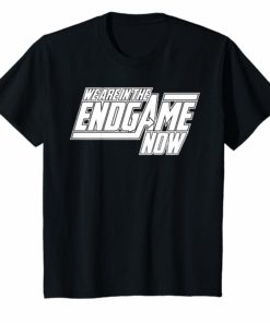 We Are In The Endgame Now Superhero Themed T-Shirt