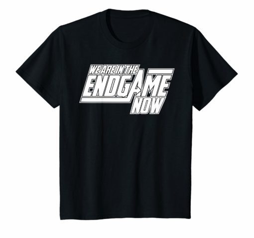 We Are In The Endgame Now Superhero Themed T-Shirt