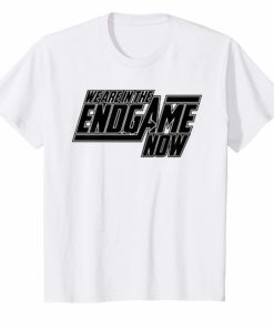 We Are In The Endgame Now Superhero Themed Tee Shirt