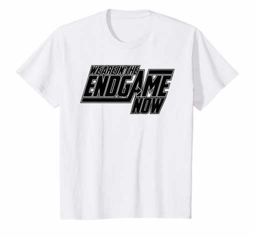 We Are In The Endgame Now Superhero Themed Tee Shirt