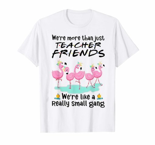 We're More THan Just Teacher Friends Flamingo Tee Shirt