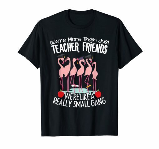 We're More Than Just Teacher Friends Flamingo Perfect t-shirts