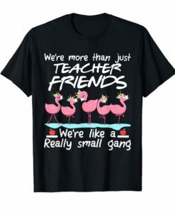 We're More Than Just Teacher Friends Flamingo T-Shirt