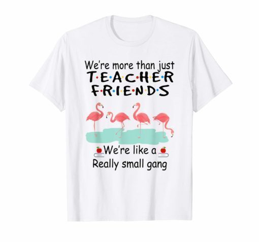 We're More Than Just Teacher Friends Flamingo T Shirt