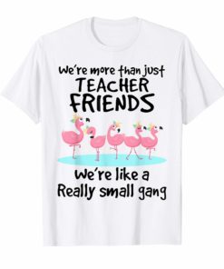 We're More Than Just Teacher Friends Shirts Teacher Tshirt