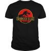 Funny Fatherhood Like A Walk In The Park T Shirt