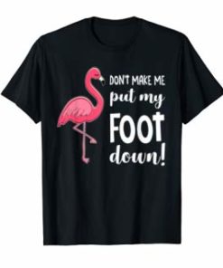 Flamingo Don't Make Me Put My Foot Down T-shirt