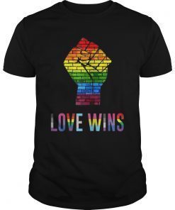 Love Wins Raised Fist T Shirt LGBT Gay Pride Awareness Month Shirt
