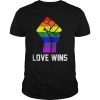 Love Wins Raised Fist Tee Shirt