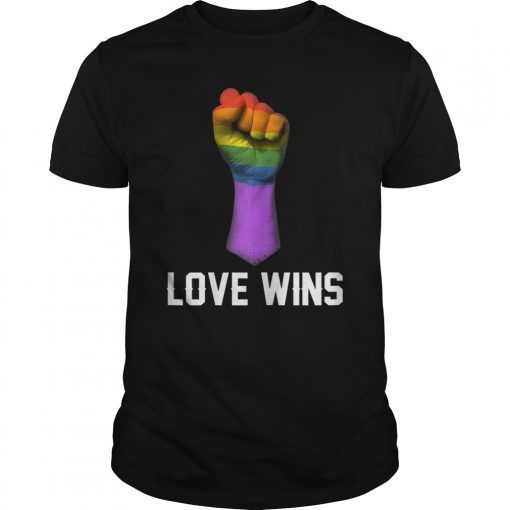 Love Wins Raised Fist Tee Shirt LGBT Gay Pride Awareness Month Tee Shirt