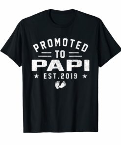 Promoted To Papi est 2019 T-Shirt Mother's Day Gifts Men