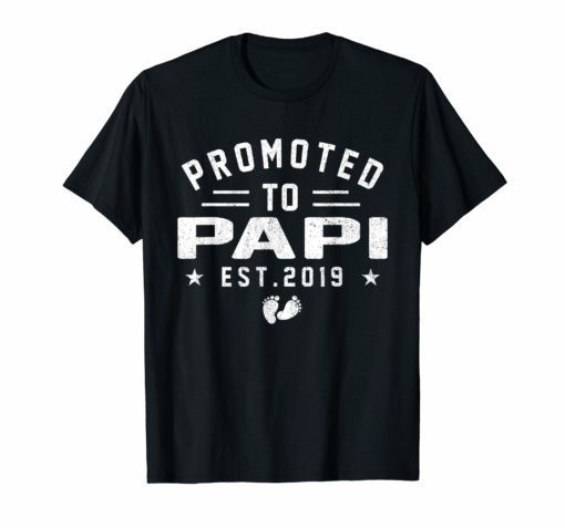 Promoted To Papi est 2019 T-Shirt Mother's Day Gifts Men