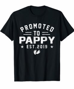 Promoted To Pappy est 2019 T-Shirt Mother's Day Gifts Men
