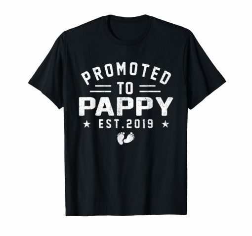 Promoted To Pappy est 2019 T-Shirt Mother's Day Gifts Men