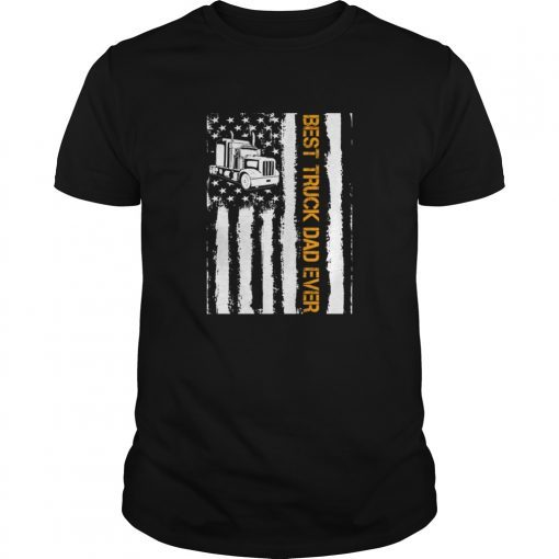 fathers day gift shirt american flag for dad papa father gift t-shirt