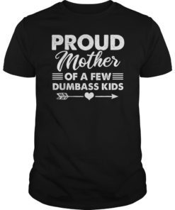 Womens Proud Mother Of A Few Dumbass Kids T-Shirt T-Shirt