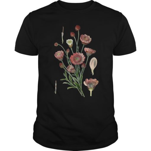 Xeranthemum Annuum T-Shirt Flower Tshirt