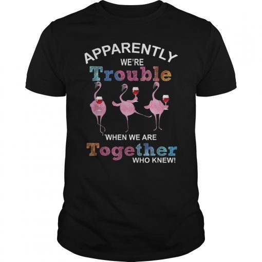 Apparently We're Trouble When We Are Together Who Knew Tee Shirt