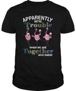 Apparently We're Trouble When We are Together Who Knew Shirt