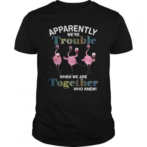 Apparently We're Trouble When We are Together Who Knew Shirt
