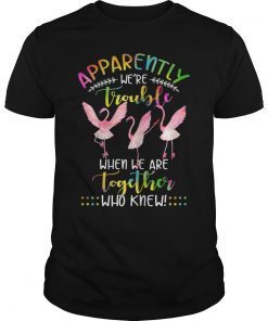 Apparently We're Trouble When We're Together Who Knew T-Shirt