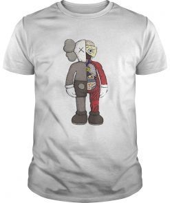 BFF figures Kaws Dior plush and Uniqlo Tee Shirt