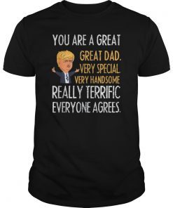 Funny Donald Trump Fathers day gift- You are great dad Tee Shirt