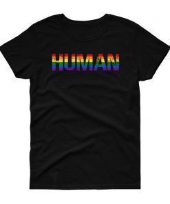 Gay Pride Shirt, Women Men, Human Shirt Gift, LGBT T-shirt, LBGTQ Tshirt, Gay Pride Festival Graphic Tee, Sexuality Tops, Rainbow Clothing