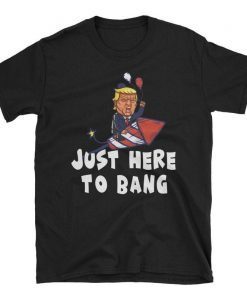 Just Here To Bang 4th of July T Shirt Premium T-Shirt , Just Here To Bang 4th of July T-Shirt , Just Here To Bang T-Shirt