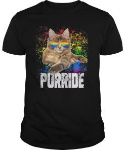 Purride Shirt LGBT Cat Gay Lesbian Pride LGBTQ Awareness Shirt