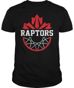 Toronto Raptors NBA Finals Champions 2019 Shirt