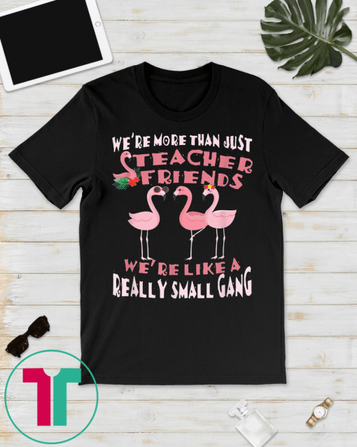 Funny We're more than just teacher friends T shirt