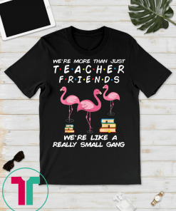 We're More Than Just Teacher Friends Funny flamingo Gift T-Shirt