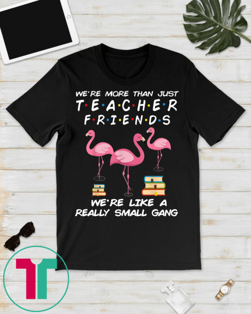 We're More Than Just Teacher Friends Funny flamingo Gift T-Shirt