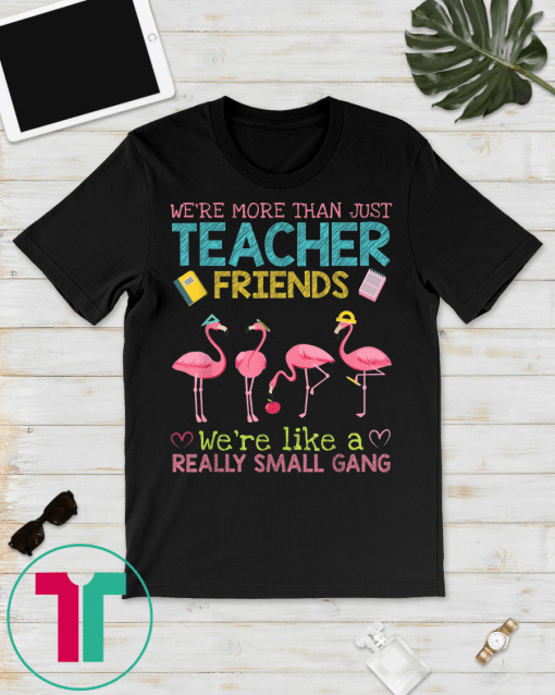 We're More Than Just Teacher Friends Tee Shirts