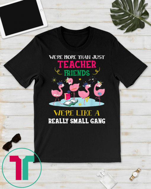 We're More Than Just Teacher Friends Tshirt