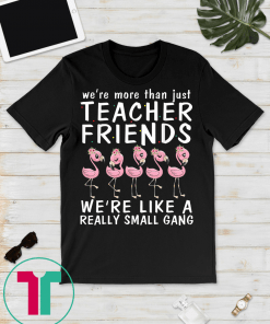 We're More Than Just Teacher Friends We're Small Gang Shirt