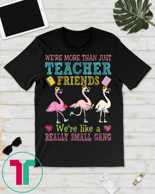 We're More Than Teacher Friends Like A Really Small Gang T-Shirt