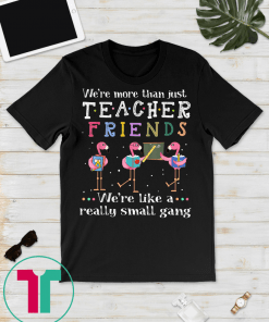 We're more than just teacher friends T-shirt