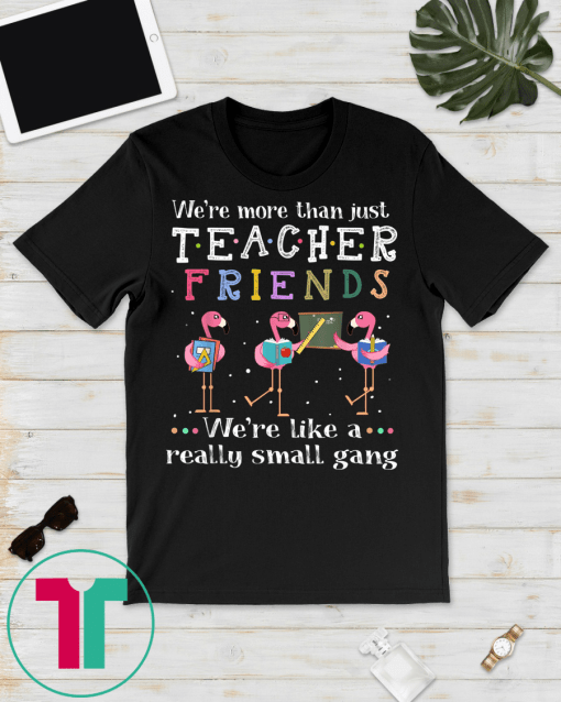 We're more than just teacher friends T-shirt