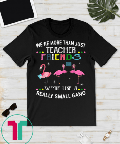 We're more than just teacher friends Tee Shirt