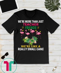 We're more than just teacher friends flamingo lovers tshirt