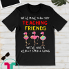 we're more than just teaching friends T-Shirt