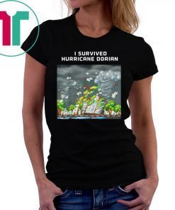 I Survived Hurricane Dorian tshirt Save Florida Puerto Rico