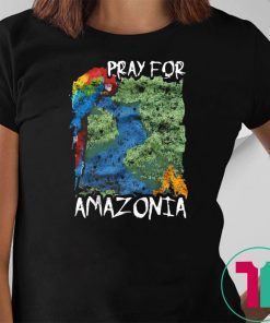 Pray For Amazonia T-Shirt
