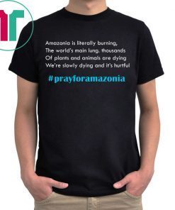 Pray for Amazonia Tee #prayforamazonia Shirt